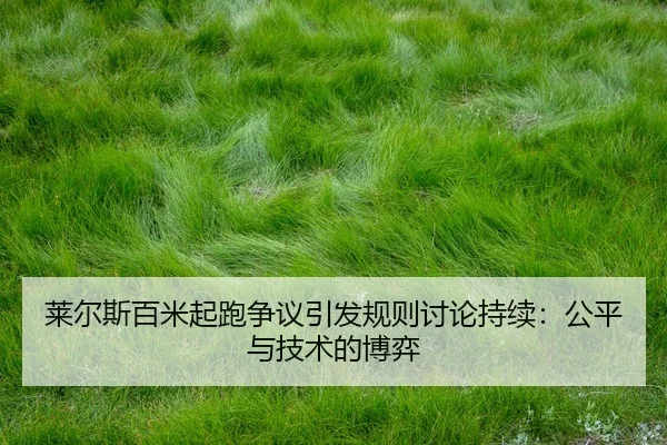 lai-er-si-bai-mi-qi-pao-zheng-yi-yin-fa-gui-ze-tao-lun-chi-xu-gong-ping-yu-ji-shu-de-bo-yi-2-102.jpg