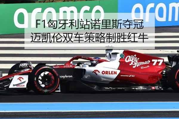 xiong-ya-li-zhan-nuo-li-si-duo-guan-mai-kai-lun-shuang-che-ce-lve-zhi-sheng-hong-niu-2-433.jpg