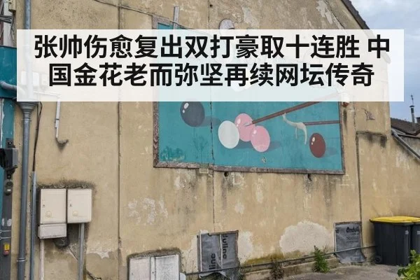 张帅伤愈复出双打豪取十连胜 中国金花老而弥坚再续网坛传奇